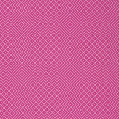 Joel Dewberry - Atrium - Needlepoint - Fuchsia