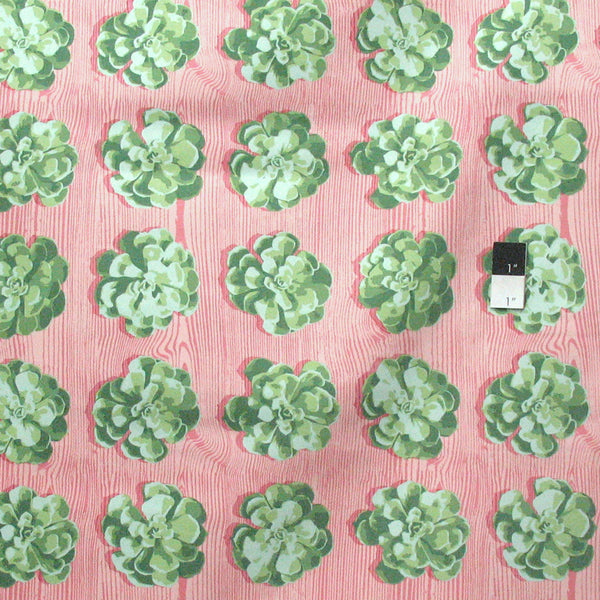 Joel Dewberry - Cali mod - Succulents - Cactus