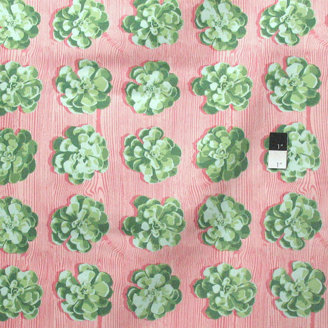 Joel Dewberry - Cali mod - Succulents - Cactus